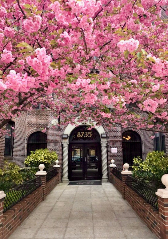 8735 Bay Parkway — The Cherry Blossom Building