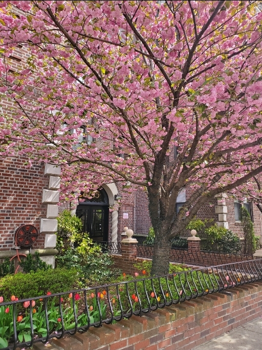 8735 Bay Parkway — The Cherry Blossom Building